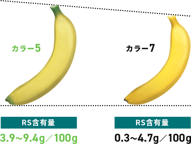 RS含有量3.9～9.4g／100g