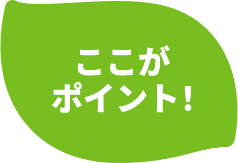 ここがポイント！