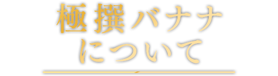 極撰バナナについて