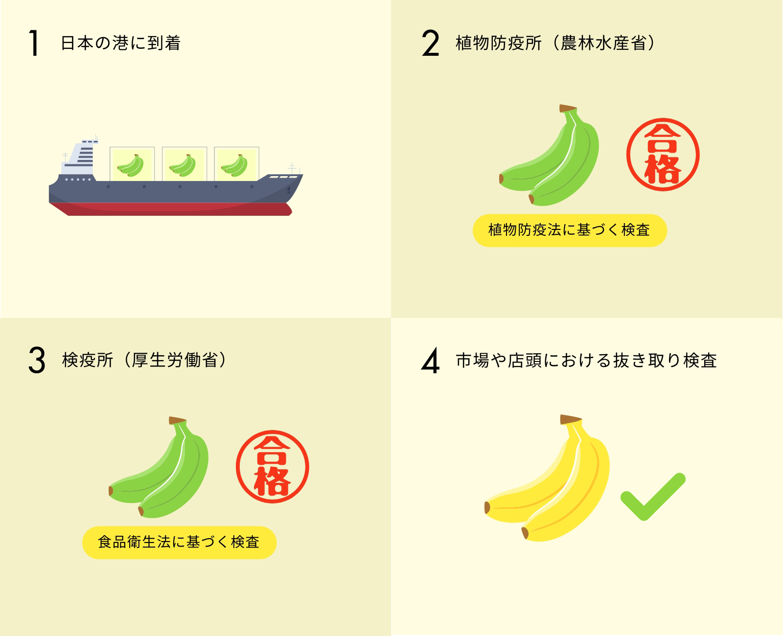 日本到着後の輸入検査と手続き