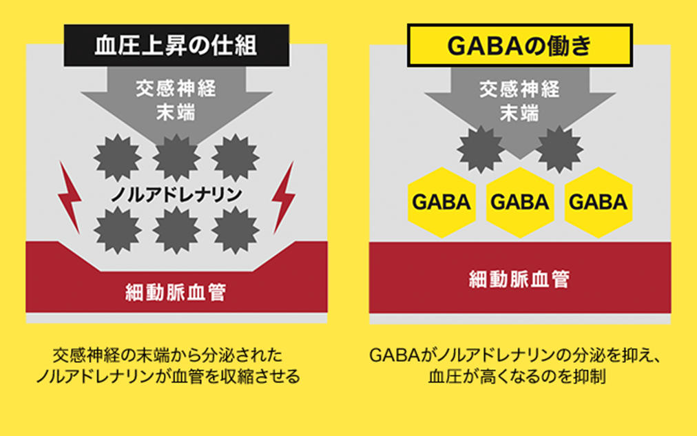 バナナ初の機能性表示食品！ Doleのバナナに含まれるGABAとは？