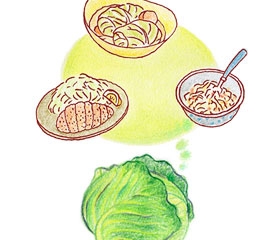 春キャベツ？冬キャベツ？収穫時期による種別と料理への活用方法