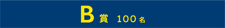 B賞 100名