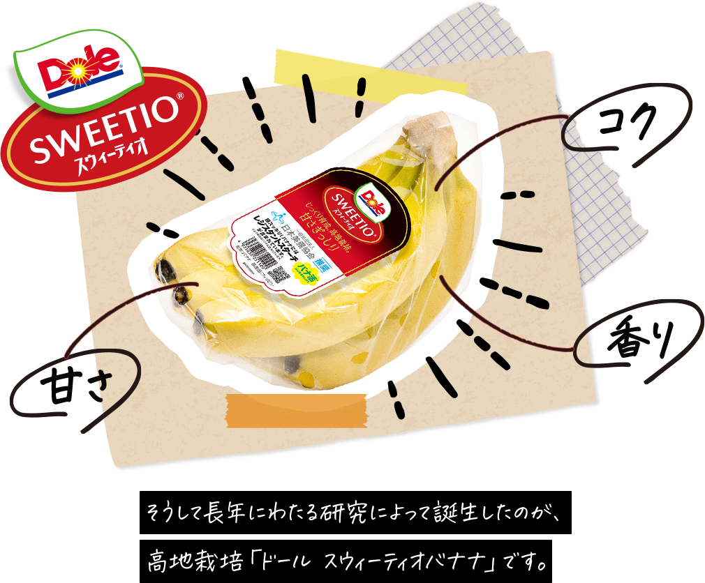 そうして長年にわたる研究によって誕生したのが、高地栽培「ドール スウィーティオバナナ」です。