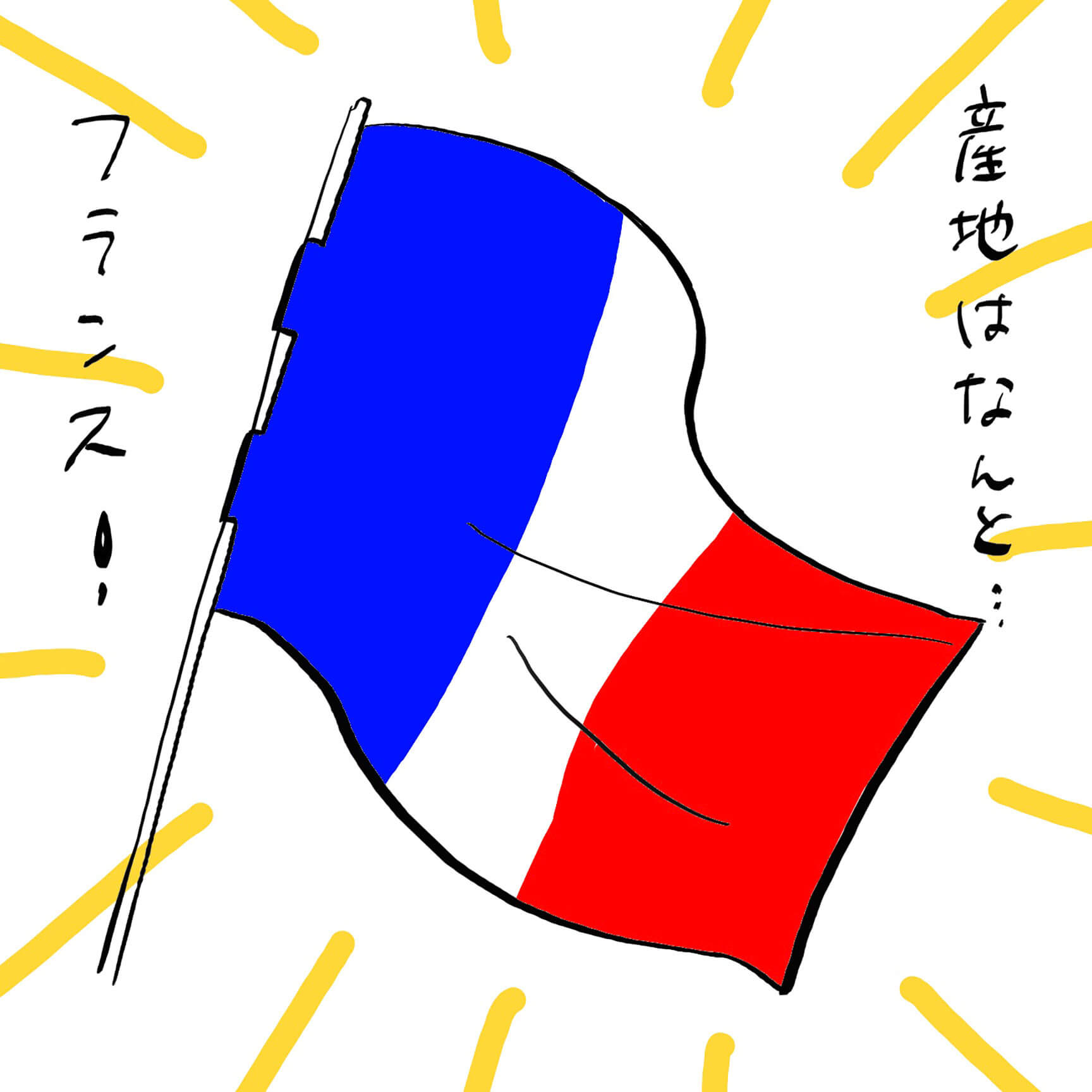 フランス産バナナ2